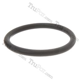 Y085011013 O ring: Lansing Bagnall